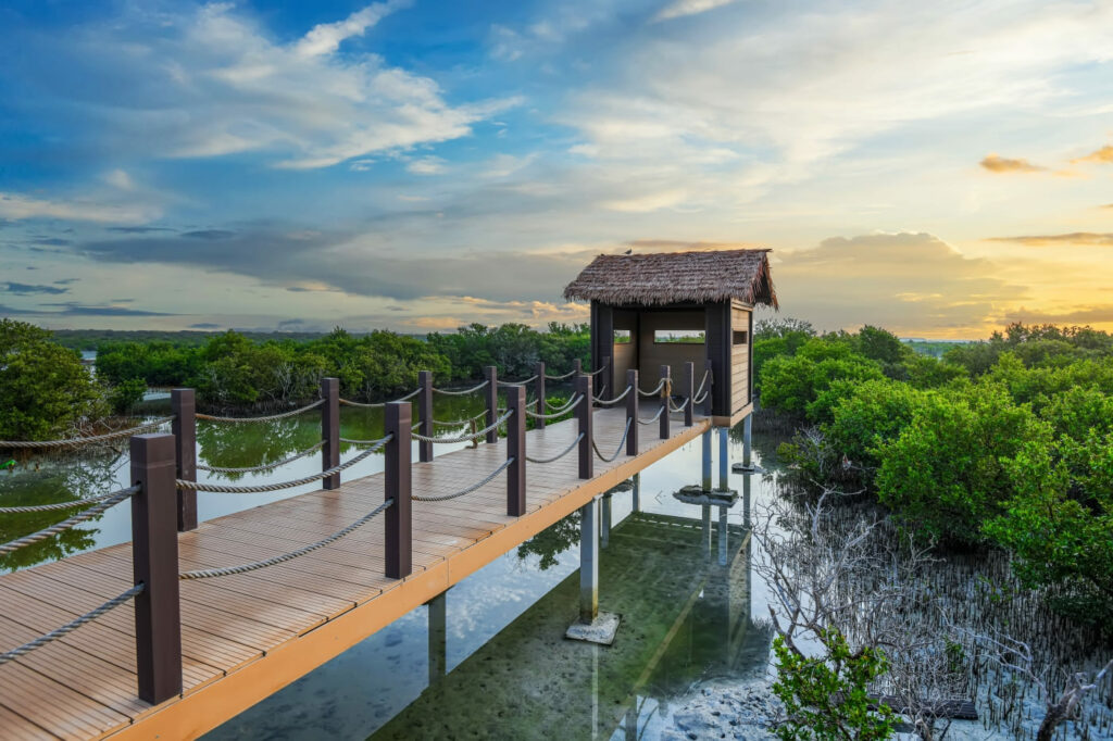 The mangroves in Al Thakira in Qatar